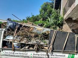 Best Attic Cleanout  in Georgetown, DE